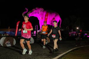 BIB: 
                            <button type="button" onclick="openModal(26534378)" class="btn btn-primary btn-sm float-right btn-popup" data-toggle="modal" data-target=".modal-high-quality">
                        <i class="fas fa-shopping-cart"></i> Add to Cart
                    </button>
                                            <button type="button" onclick="isThisMe(26534378, true)" class="btn btn-success btn-sm float-right btn-popup btn-isme hidden" data-toggle="tooltip" data-placement="bottom" title="นี่คือรูปของคุณใช่ไหม คลิกที่นี่เพื่อเอาเข้าอัลบั้ม">
                        <i class="fas fa-plus"></i> Add to album
                    </button>
                    <button type="button" onclick="isThisMe(26534378, false)" class="btn btn-warning btn-sm float-right btn-popup btn-isnotme hidden">
                        <i class="fas fa-ban"></i> Remove from album
                    </button>